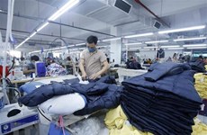 HCM City’s industrial production index up 3.4 percent in November 