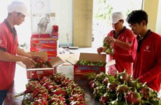 Vietnamese enterprises contribute to Vietnam-Australia trade