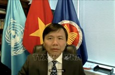 Vietnam reviews 2020 performance of ASEAN Committee in New York