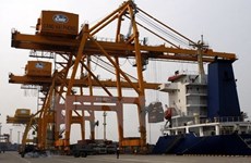 Fine logistics services facilitate Vietnam-EU trade: experts