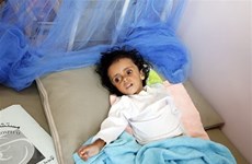 Vietnam calls for joining hands in preventing famine in Yemen 