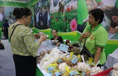 Hanoi to open 40 more OCOP showrooms