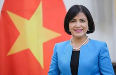 Vietnam chairs meeting of ASEAN Committee in Geneva