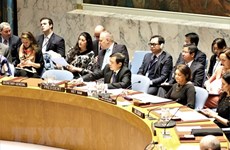 Vietnam does good job as UNSC non-permanent member