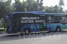 Jakarta wants 10,000 electric buses by 2030