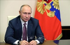 Russian President extends New Year greetings to Vietnam 