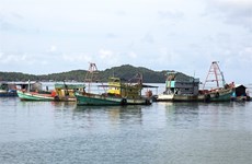 Kien Giang invests over 28 mln USD in fishing infrastructure