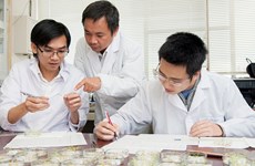 Vietnamese scientist in Japan discovers invasive plant’s health benefits