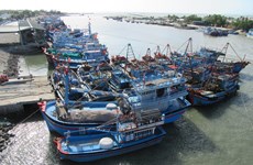 Vietnam makes progress in fight against IUU fishing 