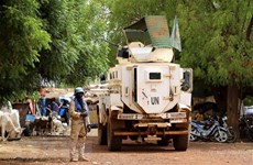 Vietnam supports integrated approach to address challenges in Mali