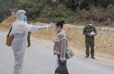 Thanh Hoa detects numerous illegal entries