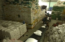Total of 205 traders allowed to export rice