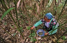 Vietnam achieves poverty reduction goals