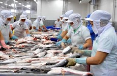 Cambodia’s suspension of fish import goes against WTO trade liberation spirit: Minister