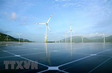 Quang Tri: Wind power projects worth over 250 million USD given go-ahead