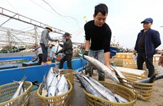 Indonesia eyes partnering with Vietnam in fisheries 