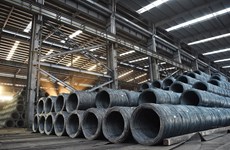 Hoa Phat posts highest crude steel output to date in January