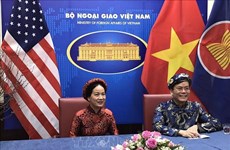 Vietnamese expats in US celebrate Tet in virtual gathering