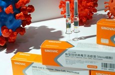 Myanmar approves Sputnik V vaccine, Indonesia to use Sinovac vaccine for the elderly