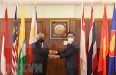 Vietnamese embassy in South Africa shows strong performance as APC Chair in 2020