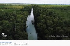 VNAT’s video clip promotes Vietnam’s natural beauty