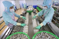 US removes anti-dumping duty on Minh Phu frozen shrimp