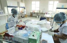 Hanoi conducts testing for people coming from pandemic-hit regions