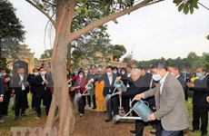 Hanoi launches tree-planting festival on New Year of Bufallo
