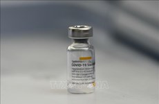 Thailand allows emergency use of China’s Sinovac COVID-19 vaccine