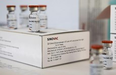 First batch of Sinovac vaccine arrives in Singapore, but it is not approved yet