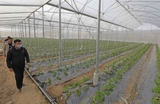 High-tech farming needs investment and proper policies