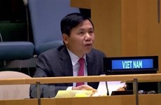 Vietnam supports UNMISS’s activities: Ambassador