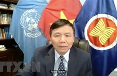 Vietnam calls on Myanmar to end violence, find satisfactory solution