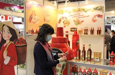 Vietnamese food, farm produce displayed at international exhibition in Japan