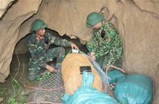 Son La's sappers safely dispose 500-kg bomb left from war
