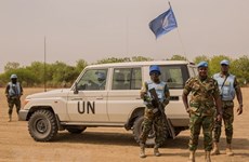 UNSC adopts documents on South Sudan, Central African Republic, Somalia, Libya