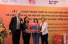 UN Women helps upgrade services assisting violence victims in Vietnam