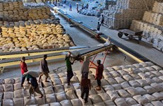 Vietnam ships 638,000 tonnes of rice abroad in Jan-Feb