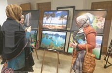 Vietnam Cultural Day hosted in Cairo