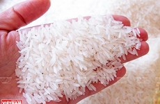 High demands push Vietnamese rice's prices up: Business Recorder