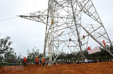 Thanh Hoa's Nghi Son 2 Thermal Power Plant connected with national electricty grid
