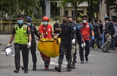 Indonesian police probe suspected church suicide bombing