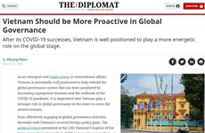 Vietnam well positioned to play more energetic role on global stage: The Diplomat