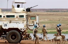 Vietnam calls for more efforts for peace in Mali