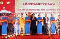 Large farm produce processing factory inaugurated in Lao Cai