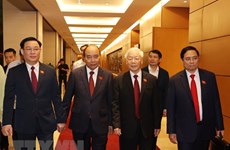 Honorary Consul in Italy believes in Vietnam’s new leadership
