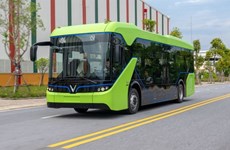 HCM City gets green light to trial electric buses