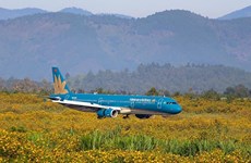 Vietnam Airlines to open six new routes in peak season