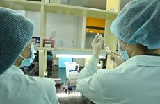 Vietnam striving to quickly produce home-made COVID-19 vaccines