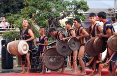 Culture, sports, tourism festival of Central Highlands ethnic groups slated for May